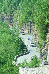 IMG_4428