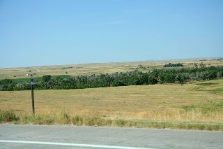 IMG_4895