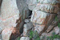 IMG_5564