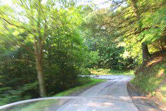 Let me see if I can take a picture while keeping my bike on the road and negotiating this turn with one hand without hitting the deer.